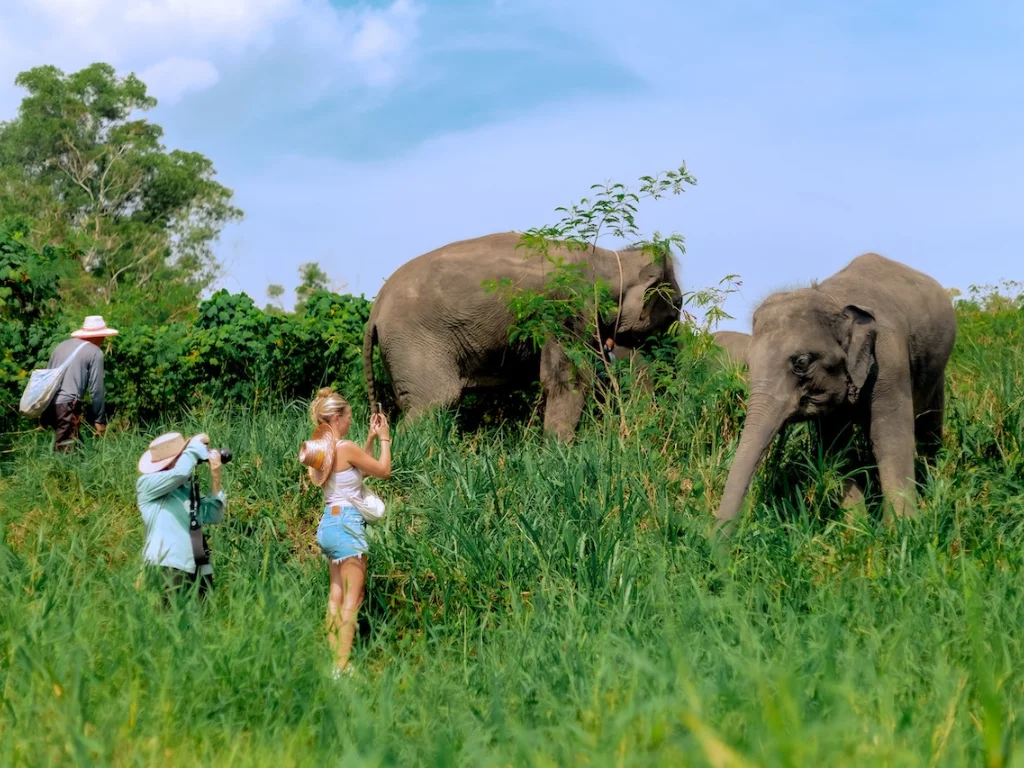 Elephant Sanctuary