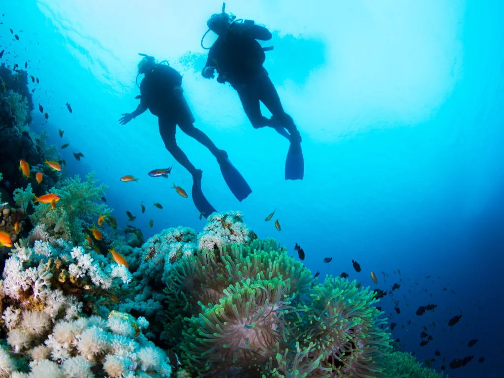 Thailand Diving
