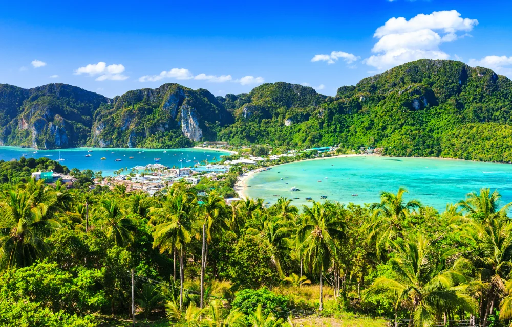 Phi Phi Island Tour