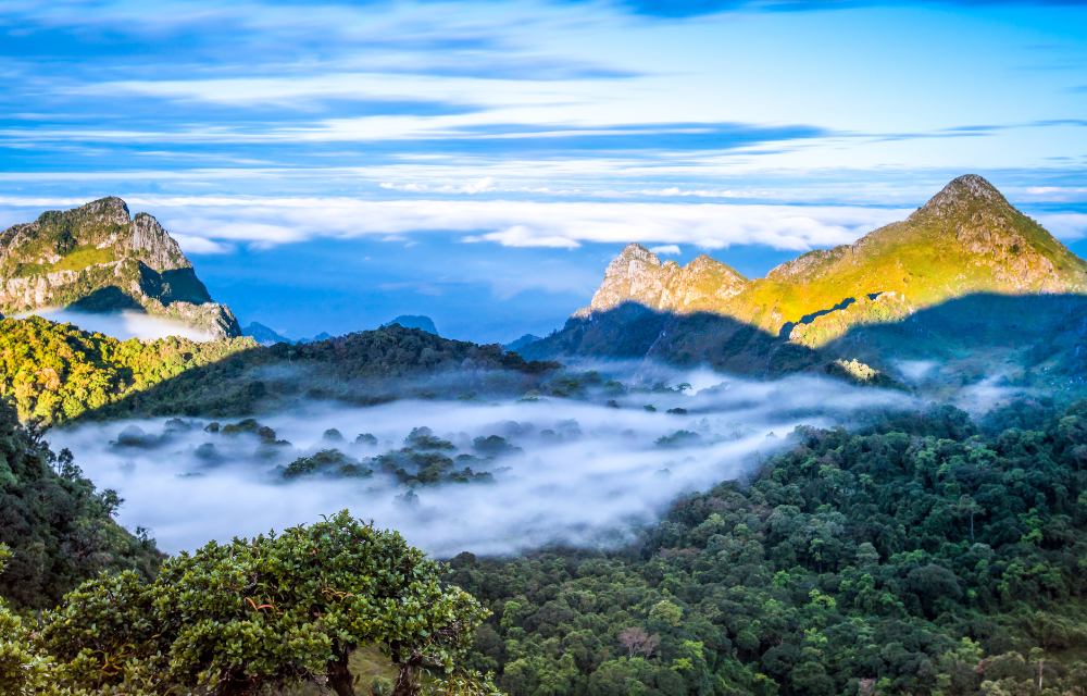 Cool Season Thailand