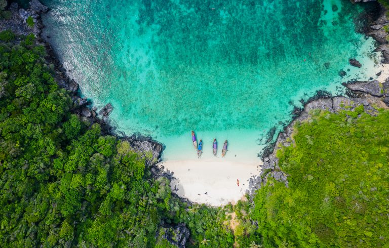 Phi Phi Island Tour