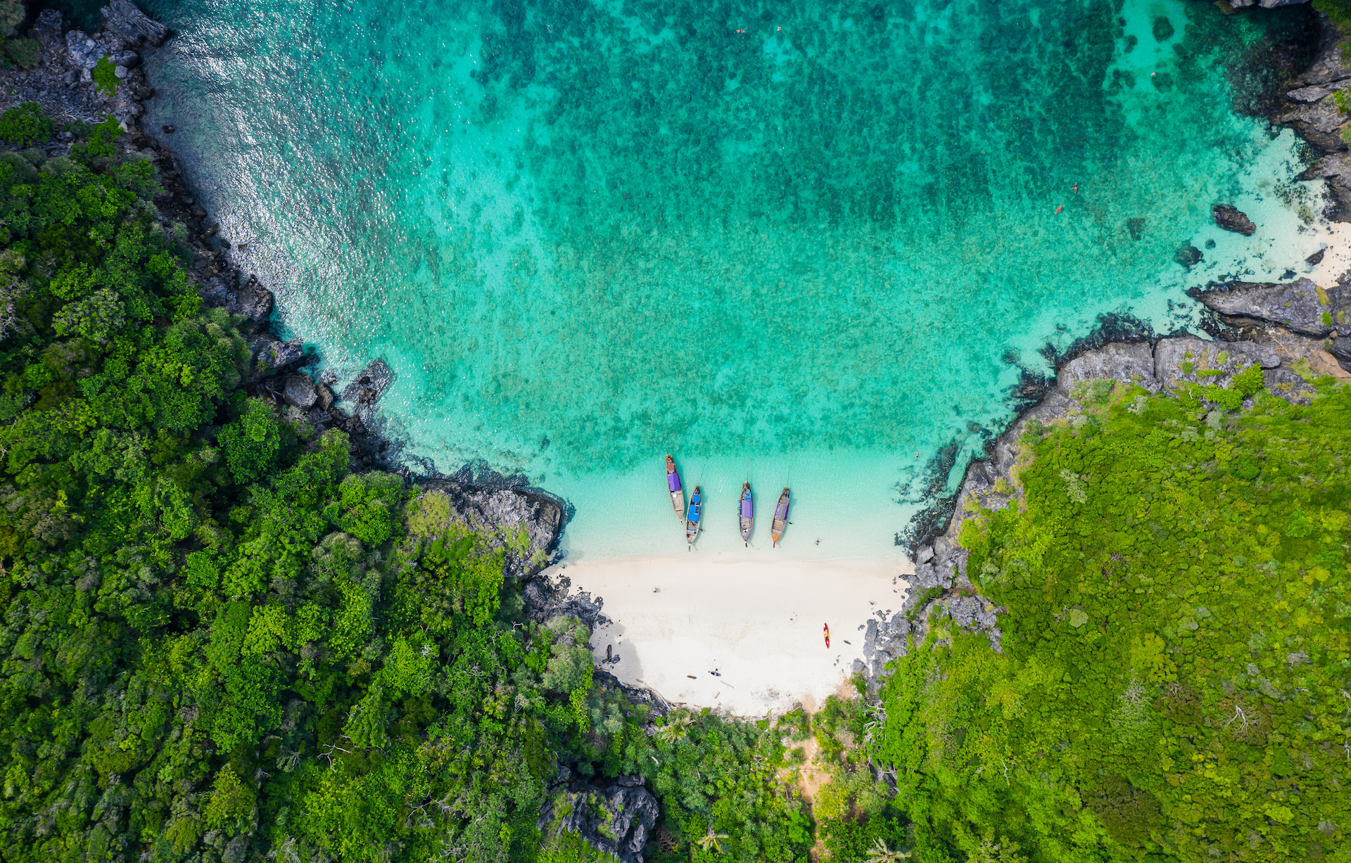 Phi Phi Island Tour