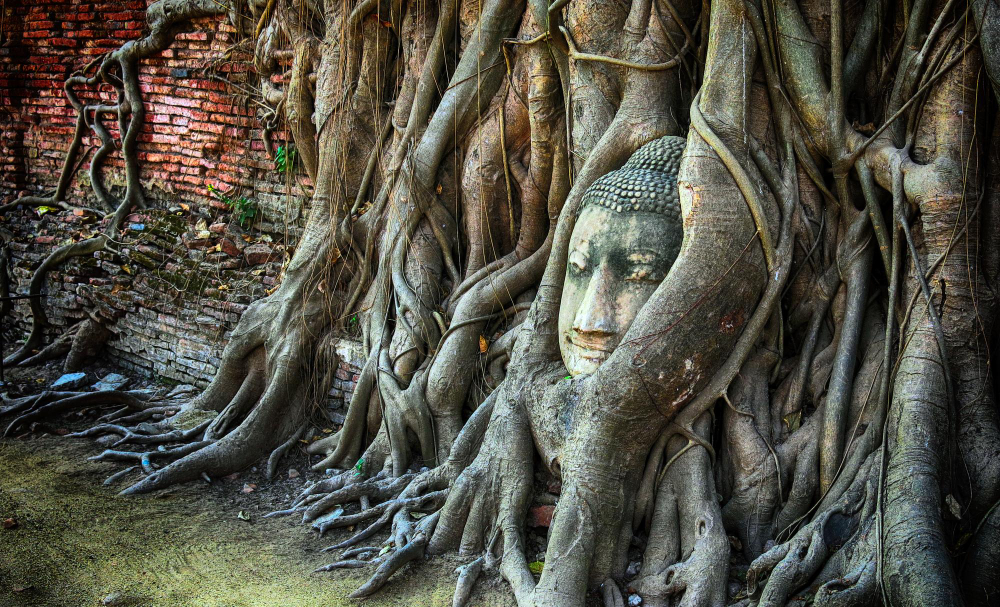 Ayutthaya day trip from Bangkok