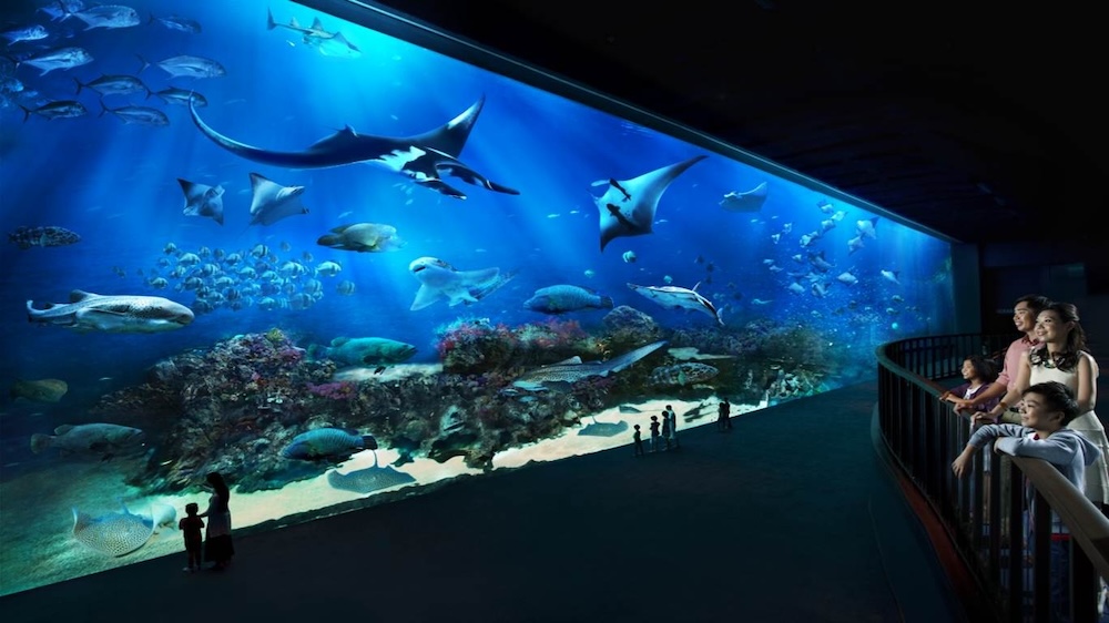 SEA LIFE Bangkok and family activities