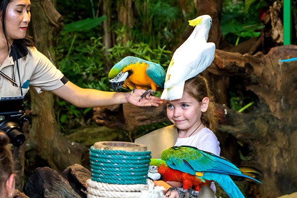 Bird Park