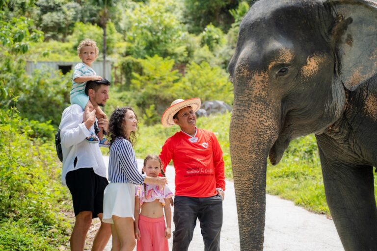 Elephant Sanctuary